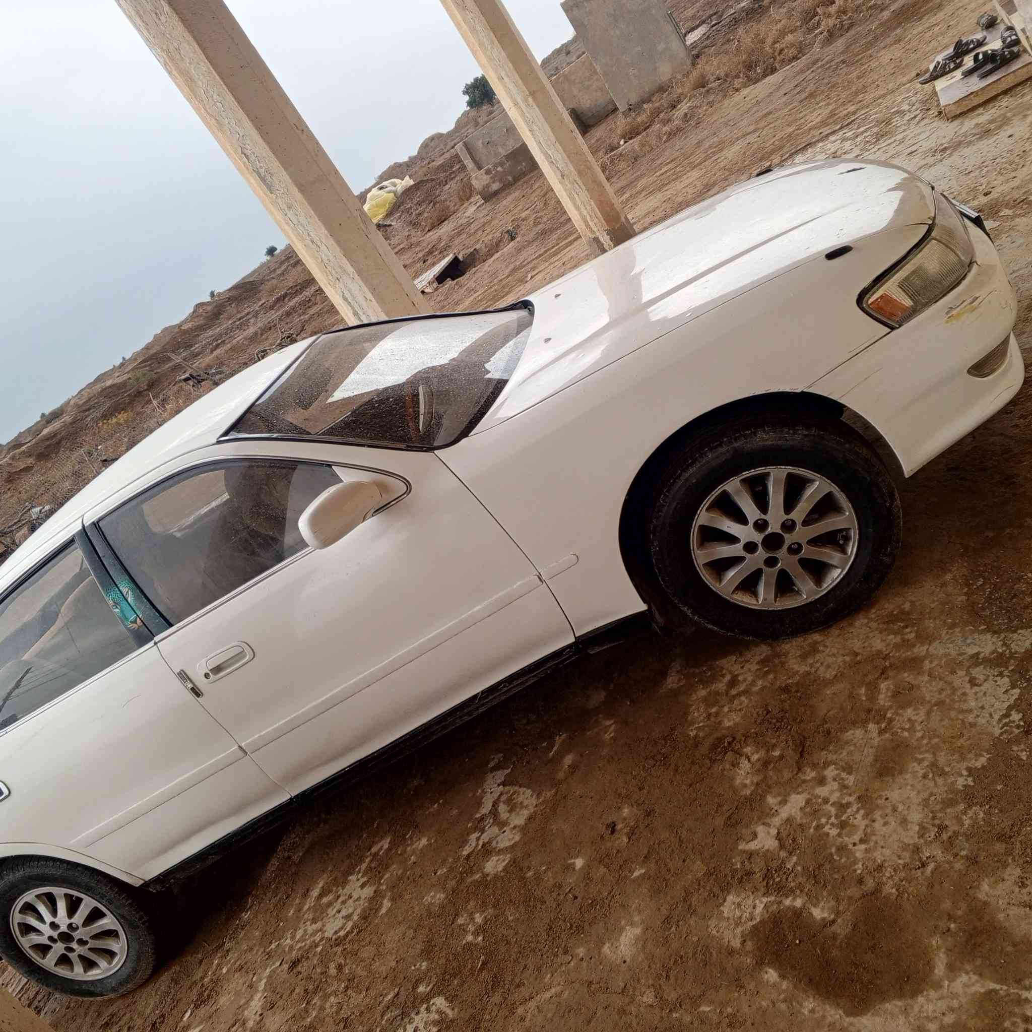 السلام عليكم  كرسته للبيع مكان شطره سعر 55 ورقه ***********
