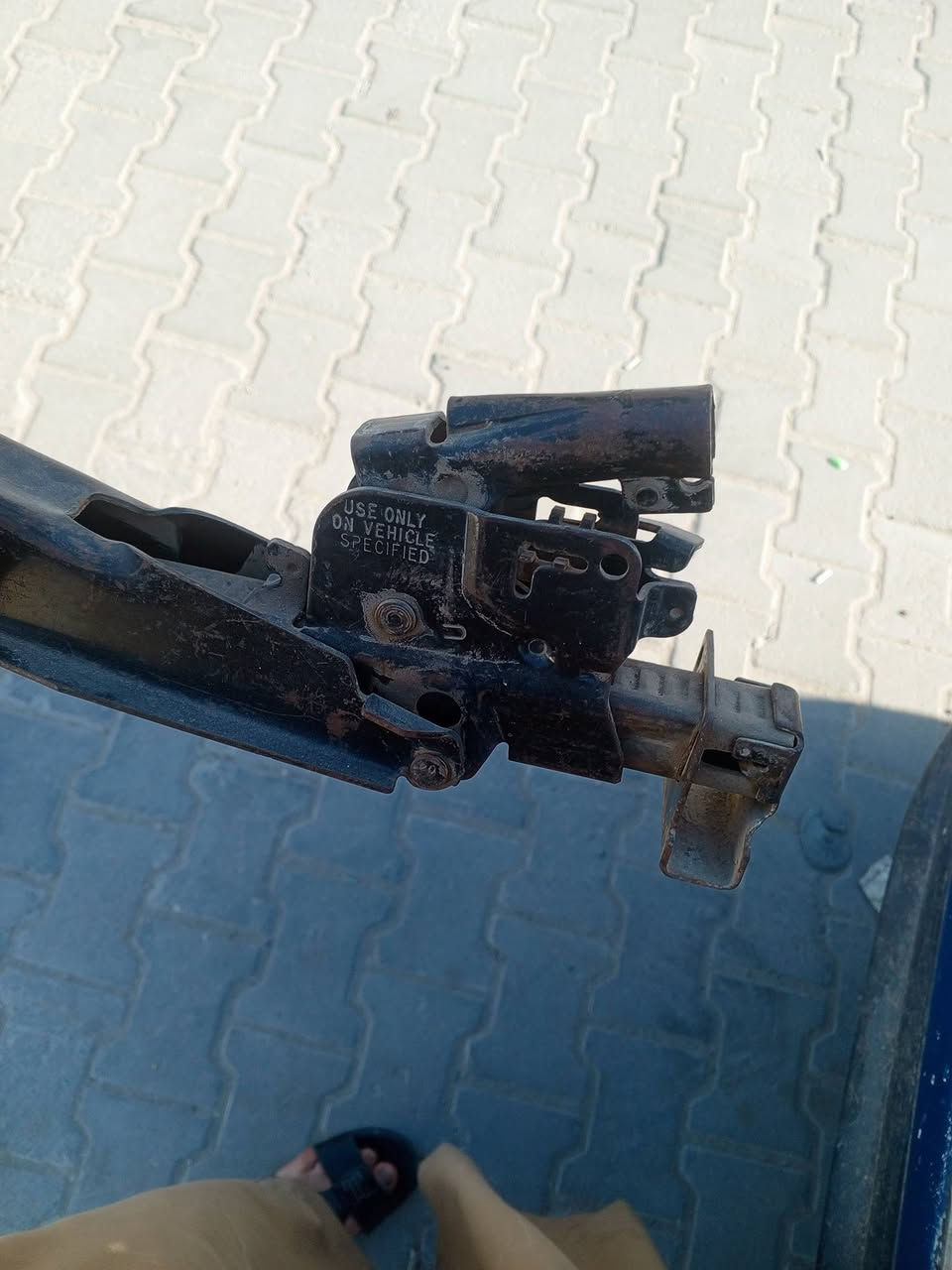 للبيع جك دولفين اصلي وكاله على فحص وأني خادم+ مسجله دولفين للبيع ***********
