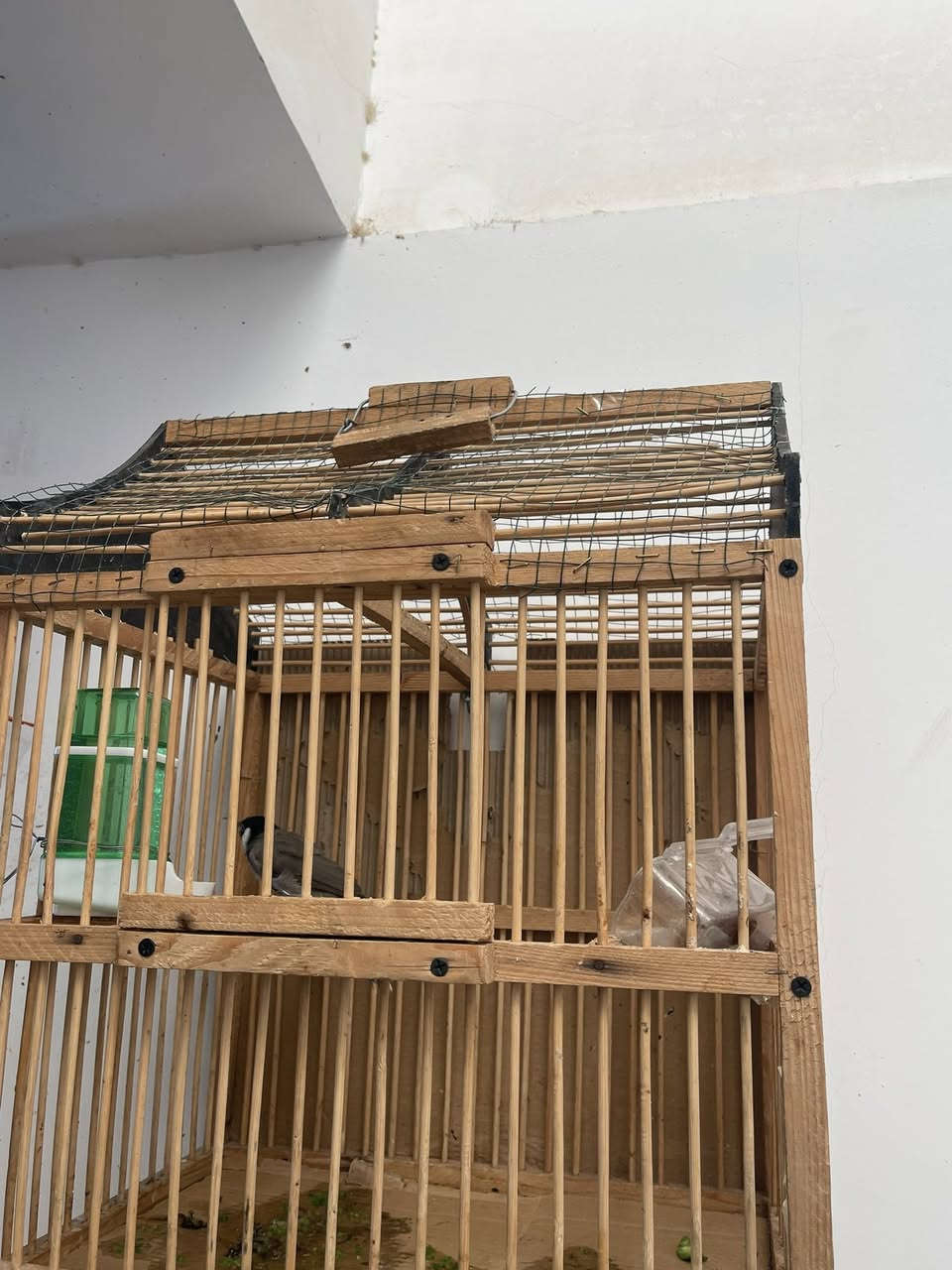 السلام عليكم
متاح 
مكان : بيجي 
بلبل تمر وحشي تغريد فول مع القفص ب25 وبي مجال 
زوجين فناجس شرط الانتاج سعر 15 زوجين 
بيوت قطط جديده سعر قطعتين ب25


**إذا كنت صاحب هذا الإعلان وتريد حذفه لأي سبب، رجاءا أرسل رسالة إلى الدعم الفني**