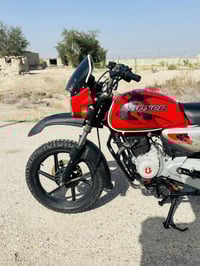 بوستر موديل 22 • أوراق كاملة • البصرة القرن الثغر