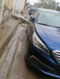 سوناتا • ٢٠١٥ • ديالى بلدروز