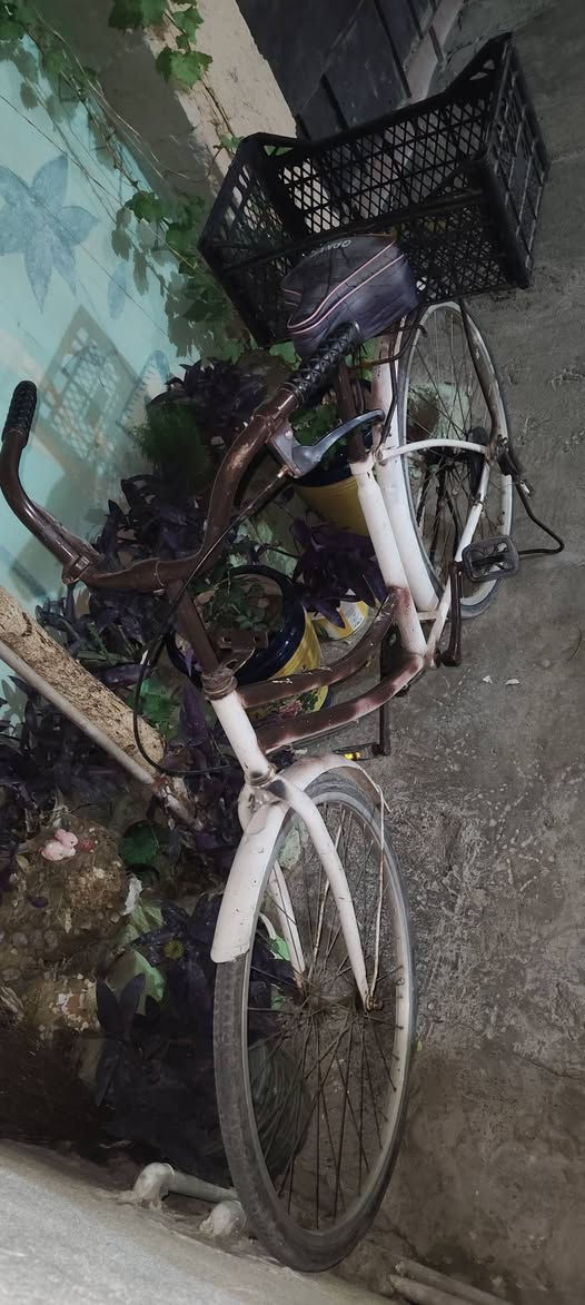 باسكيل حجم٢٦ شغال للبيع سعره ٣٥


**إذا كنت صاحب هذا الإعلان وتريد حذفه لأي سبب، رجاءا أرسل رسالة إلى الدعم الفني**