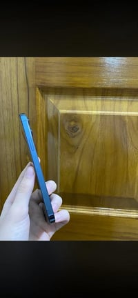 ٢٥٦ • دبل سيم • سماعة الفوك واكفة