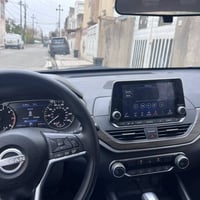 التيما • ٢٠٢٣ • صبغ فقط