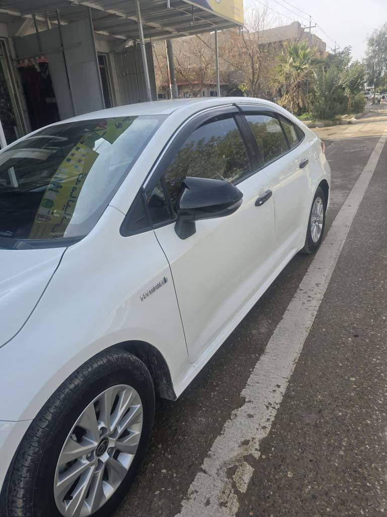 *********** كالار, السليمانية
