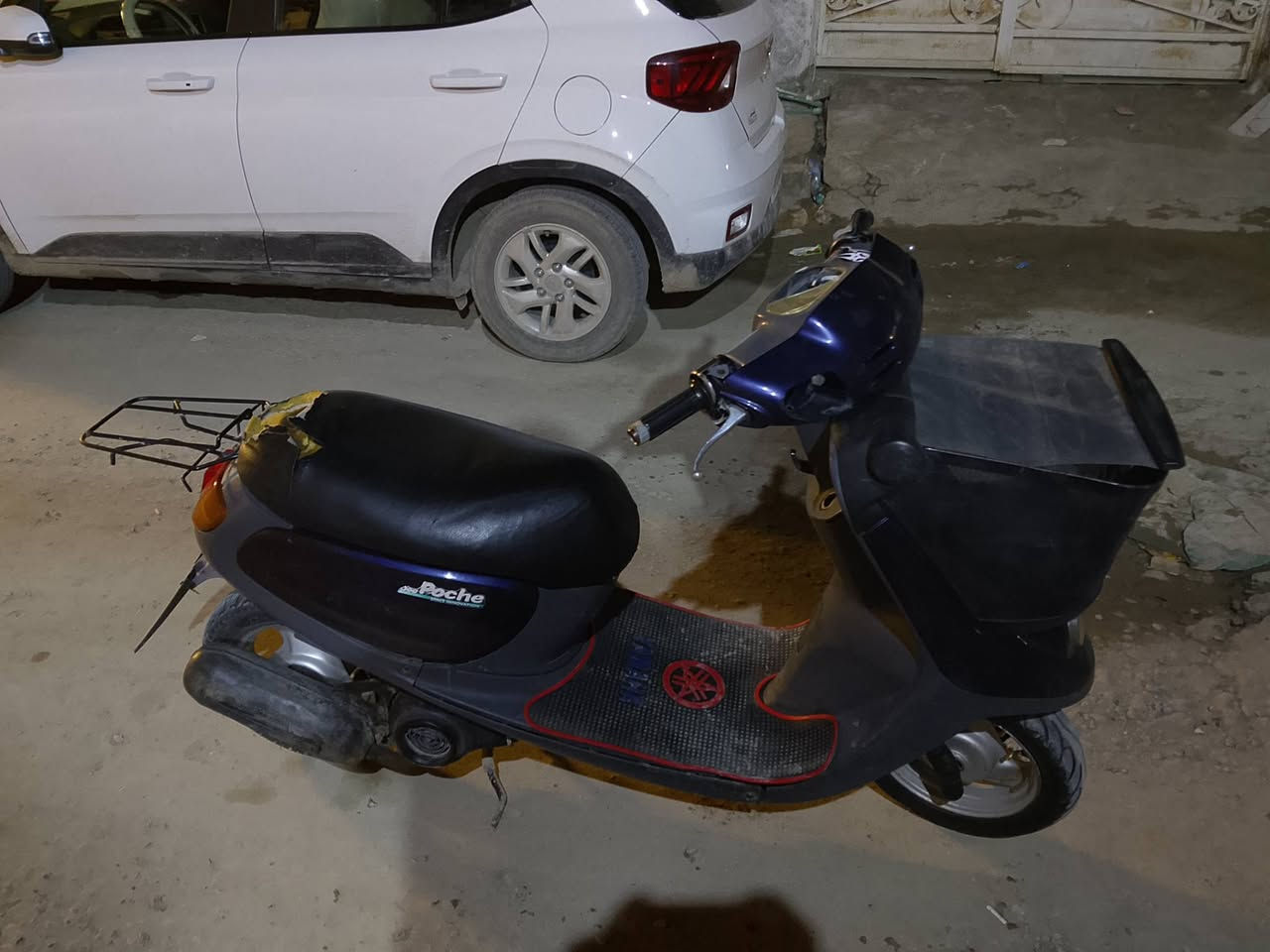 منغولي الفين 3 للبيع كفاله للاستفسار***********
