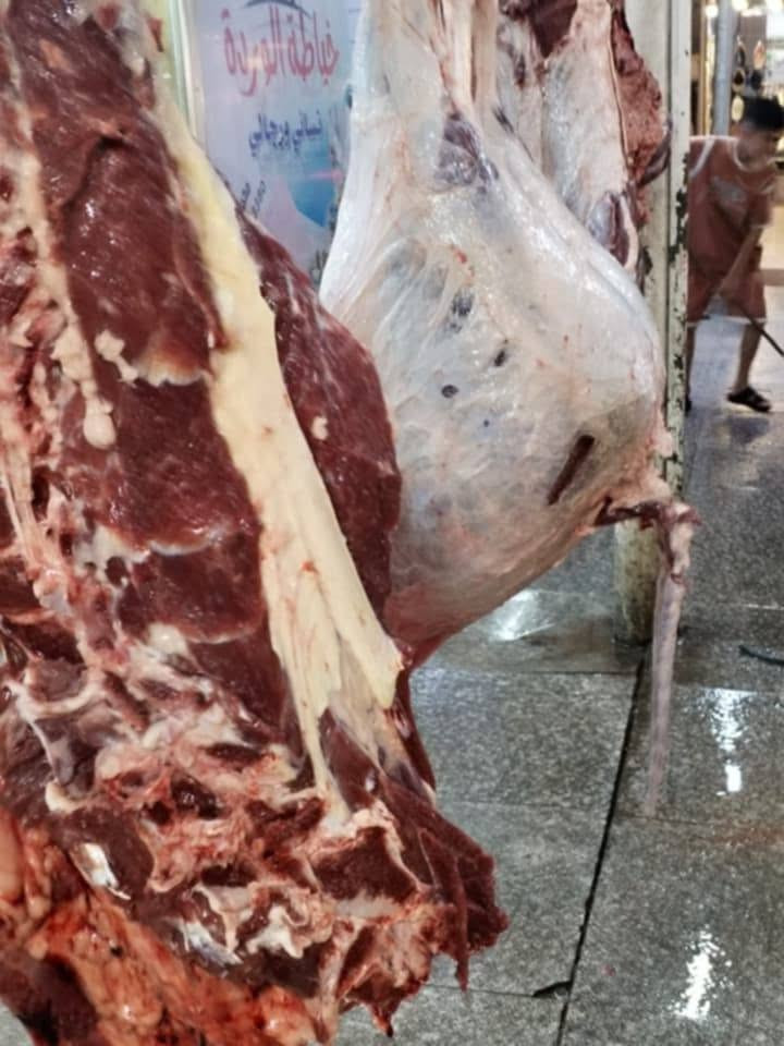 سفرة الدائم.. في خدمة المآتم 🏴
نعلن عن استعدادنا التام لتجهيز المجالس الحسينية بـ (كباب ولفات) حسب الطلب وبأنسب الأسعار. للطلب والاستفسار يرجى مراسلتنا."   ***********

​"لخدمة المجالس والمواصفات التي تبيض الوجه.. يتوفر لدينا تجهيز كباب (لفات أو سفري) للمجالس الحسينية، شغل درجة أولى ونظافة مضمونة.". 

متوفر كادر للتجهيز الكباب.    متوفر لحم بانواعه.    للمجالس الحسينيه   قيصر الكصاب
