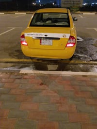 تيبا • ٢٠١٦ • كربلاء