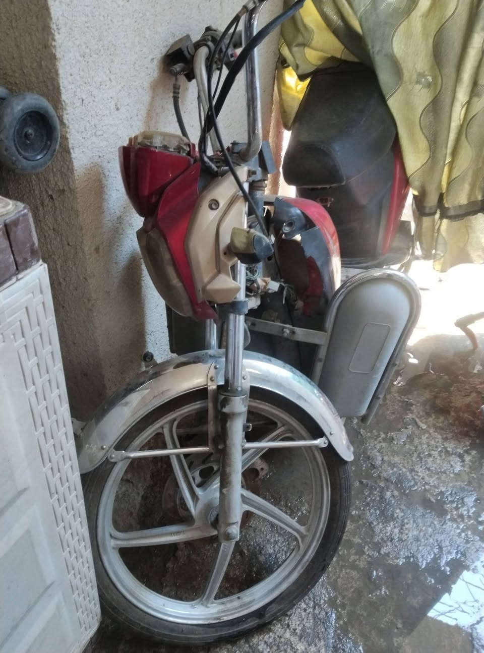 دراجه شحن ب١٥٠


**إذا كنت صاحب هذا الإعلان وتريد حذفه لأي سبب، رجاءا أرسل رسالة إلى الدعم الفني**