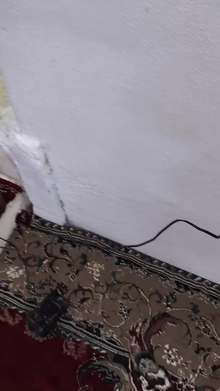 للبيع


**إذا كنت صاحب هذا الإعلان وتريد حذفه لأي سبب، رجاءا أرسل رسالة إلى الدعم الفني**