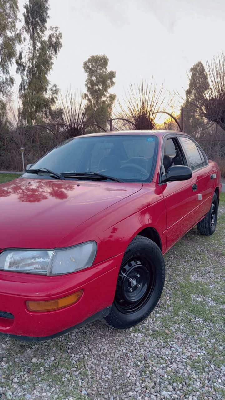 سلام عليكم تويوتا كورلا محمور تحورير بلاد 1993

للبيع فقط 

محرك 18 لاصرف ولا بخار 

السياره ماتريد اي مصرف 

جاهزه من كل شي 

تدفئه و تبريد ثلج ❄️

رقم صلاح الدين مشروع وطني سنويه صالحه لغايه 2030

سعر 62 بي مجال قليل 

مكان السياره محافظة كركوك 

*********** كركوك, العراق
