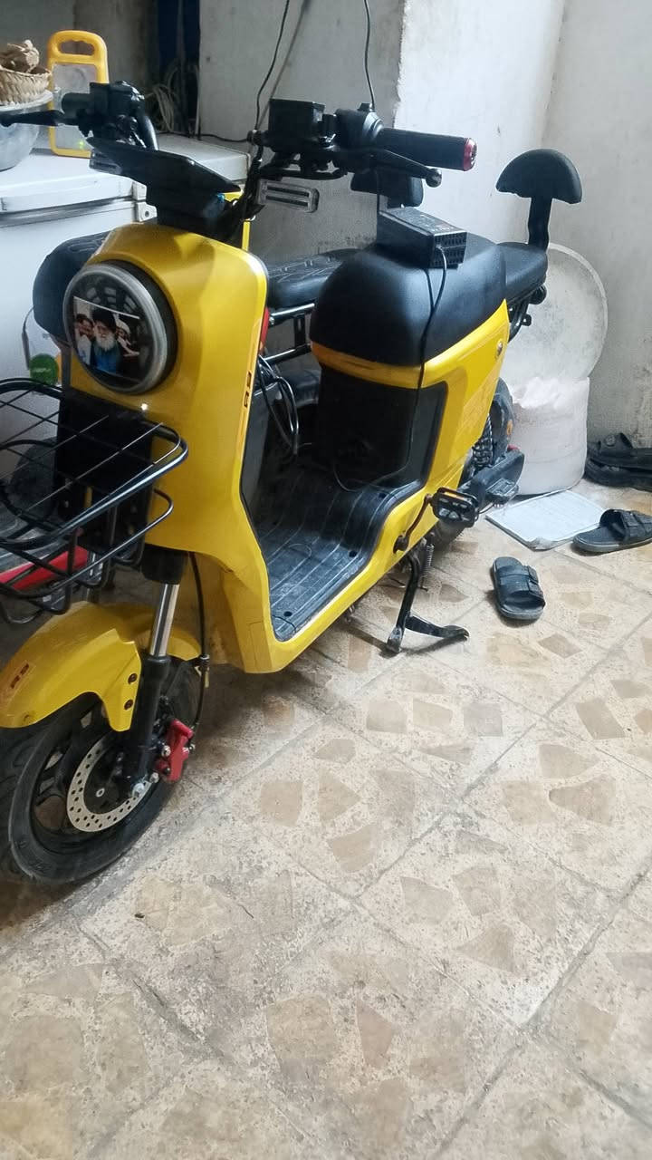 كربلاء ابو الشحن واتساب
500


**إذا كنت صاحب هذا الإعلان وتريد حذفه لأي سبب، رجاءا أرسل رسالة إلى الدعم الفني**