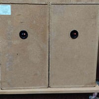 بايونير • ١٠انش • ١٠٠واط