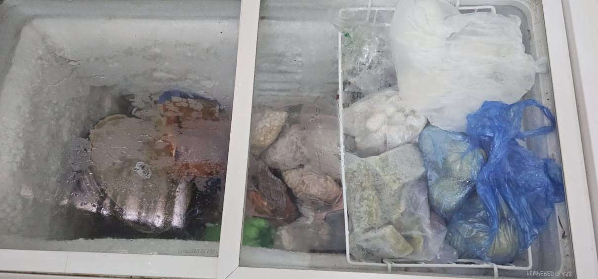 ثلاجه 16 قدم شغاله. ومجمده 8 قدم شغاله العنوان الغزاليه الهياكل


**إذا كنت صاحب هذا الإعلان وتريد حذفه لأي سبب، رجاءا أرسل رسالة إلى الدعم الفني**