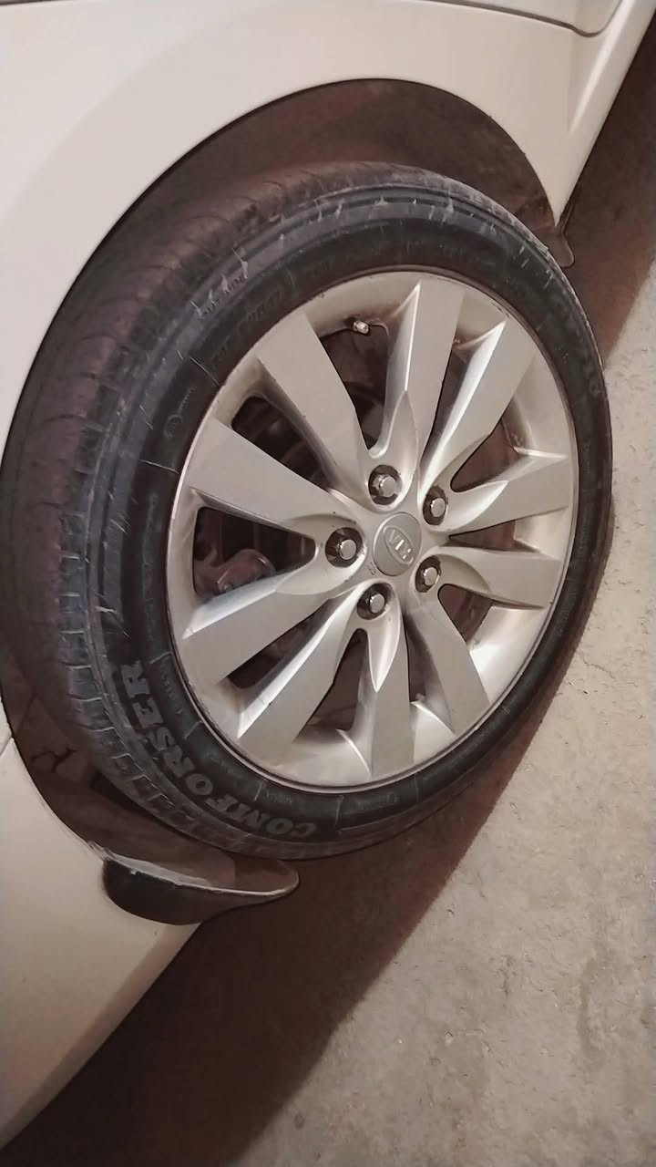 ويل كب 17 للبيع 300 وبيهن مجال *********** العنوان بغداد الدورة
