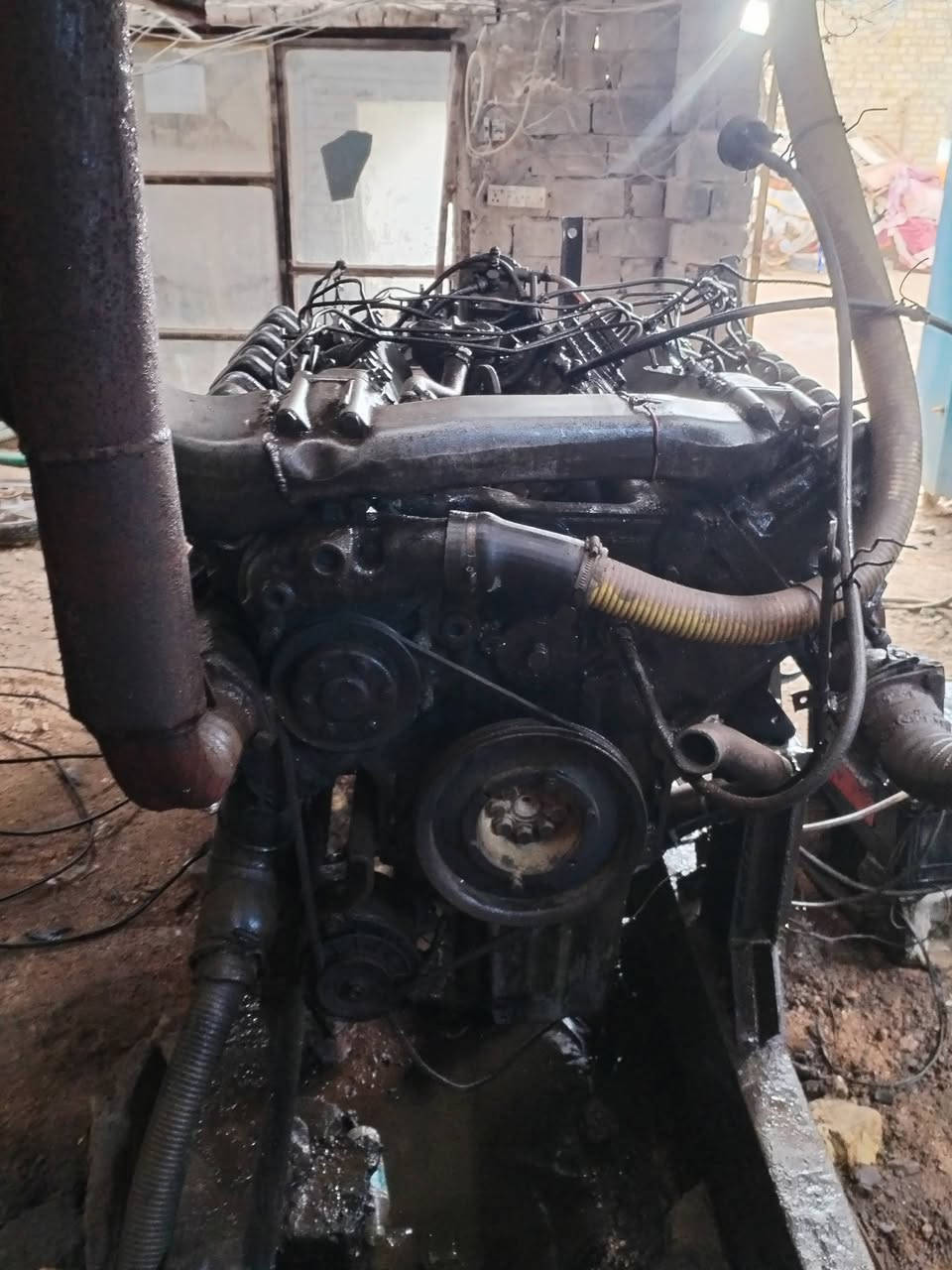 سلام عليكم مولده لبيع
توصل علئ رقم *********** لعنوان الديوانيه الحمزه شرقي
