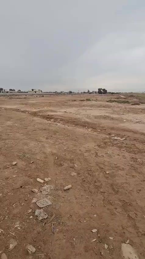 السلام عليكم يوجد لدينا 12 دوانم تجاريه
عل شارع العام مال الخنسايه  رقمي***********
