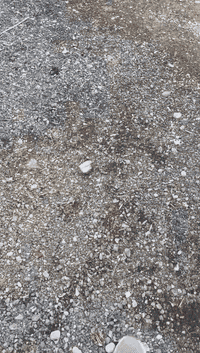 لاند كروزر موديل 14 كير محرك ما مفتوح ماشيه 263 الف السعر 380 $ وبيها ...