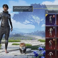 للبيع حساب ببجي ، 13 سلاح ،7 كلمسج ب40 الف ، 07864578111