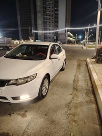 نص فول • ٢٠١١ • رقم اربيل