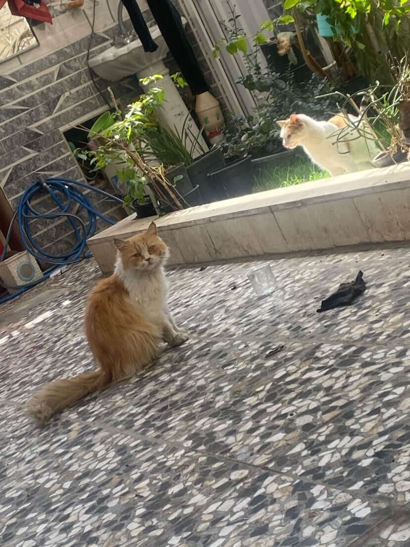 منو يريدها


**إذا كنت صاحب هذا الإعلان وتريد حذفه لأي سبب، رجاءا أرسل رسالة إلى الدعم الفني**