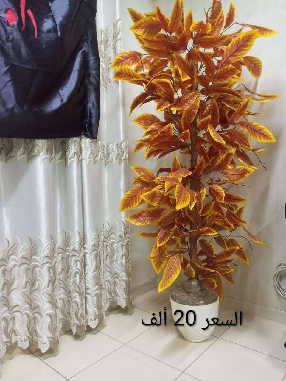 اغراض للبيع داخل بسماية


**إذا كنت صاحب هذا الإعلان وتريد حذفه لأي سبب، رجاءا أرسل رسالة إلى الدعم الفني**
