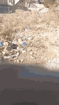 ابي غريب • حي القضاة • ٢٥٠م