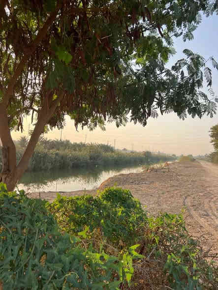 سلام عليكم ورحمة الله وبركاته
أرض زراعية ٥ دونم طابو زراعي ٢٥
مع دار سكن واقعة في منطقة اليوسفية الرضوانية المكيطيمات
قرب مخزن شيخ سليمان الذرب
على نهر اليوسفية

رقم الهاتف

***********
