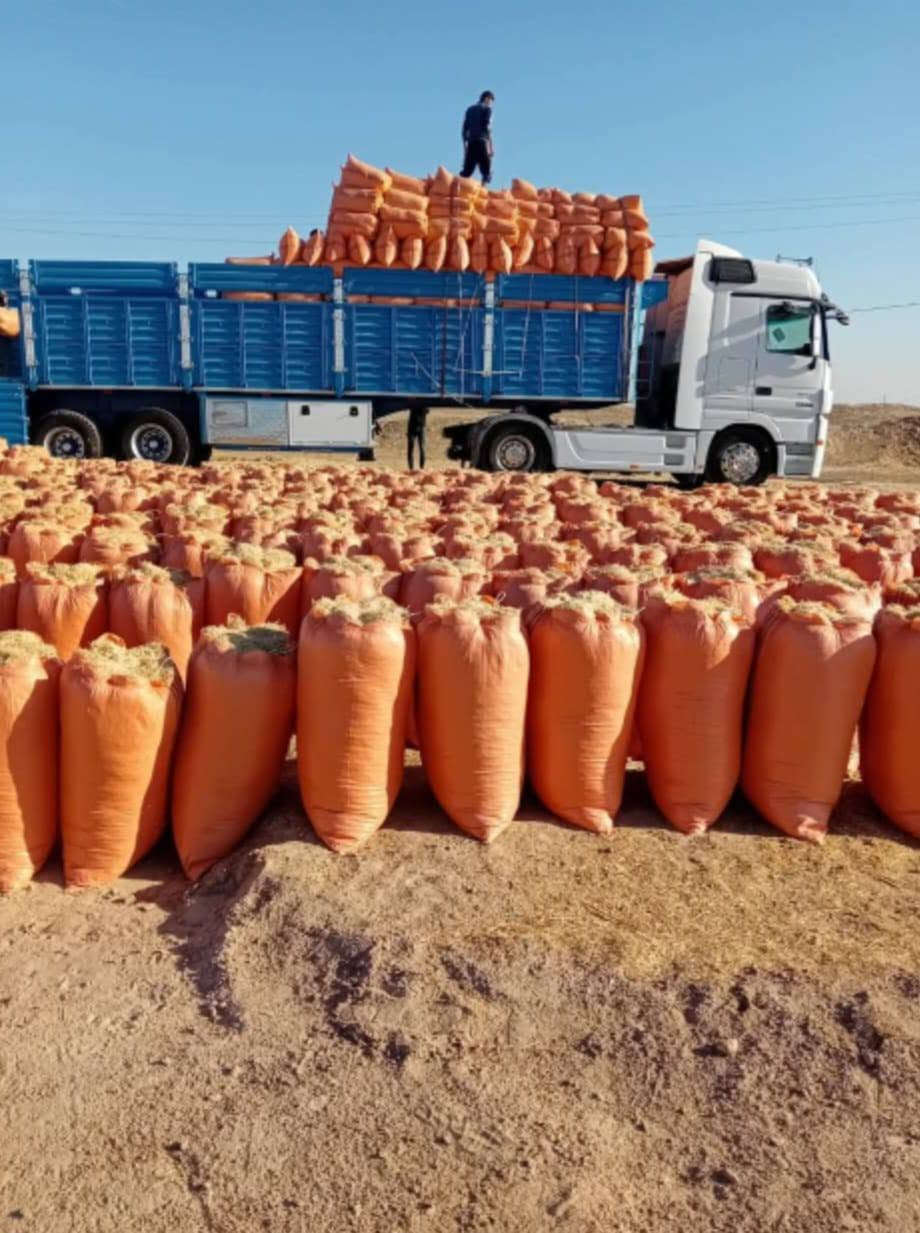 سلام عليكم يوجد تبن البيع طحن ناعم شرط نظافة فول حجم شليف الطول 120 العرض 90 
يوجد توصيل الي كافه محافظات العراق أقل كمية 400 شليف سعر خاص


**إذا كنت صاحب هذا الإعلان وتريد حذفه لأي سبب، رجاءا أرسل رسالة إلى الدعم الفني**