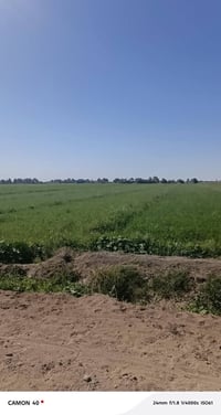 🔥 سلام عليكم عرض مميز وفرصة استثمار حقيقية 🔥 للبيع 17 دونم بقرب السكن،...