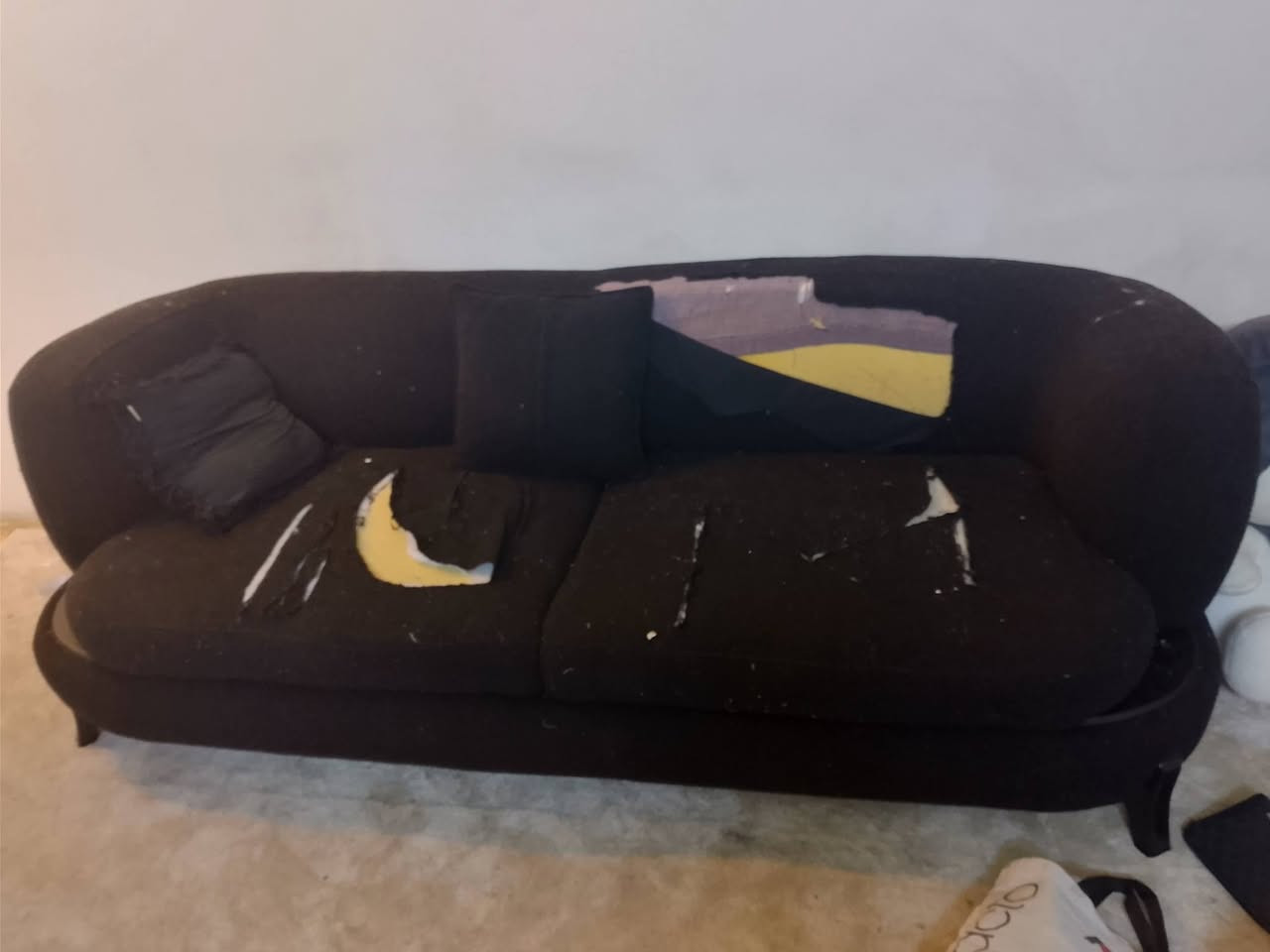 تخم  الاسود دوشمة ب60 الف يمكن يرجع 250 سعر
القاهرة بغداد ***********
