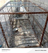 موجود قفص للببع الطول مترين العرض متر الارتفاع متر قفص جديد يرهم لكل ش...