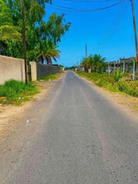 🌟 حلمك بمزرعة أو استثمار ناجح يبدأ من هنا 🌟 7 دونم على طابو الكاظمية ب...