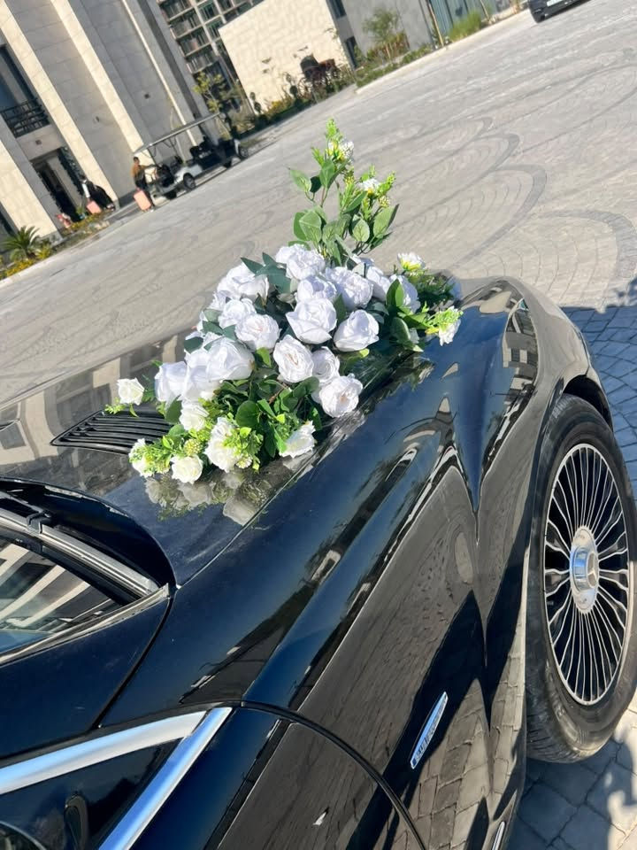 مرسيدس مراوس  مع  تاهو  2020
مساء  الخير  عليكم   جميعا  
مرسيدس بنز  2011 
S500  
مكينه  4700 دبل توربو  
فول مواصفات  vip  
باب طويله  غنيه  عن التعريف  
خليجيه وكالة باجكر اربيل  
مكفوله   
ممشى  175  الف كيلومتر  
السعر  252   مراوس  مع   تاهو   او  يوكن رقم شمالي    17/20  
للاستفسار  *********** 
***********
مكاني  ديالى بعقوبه

