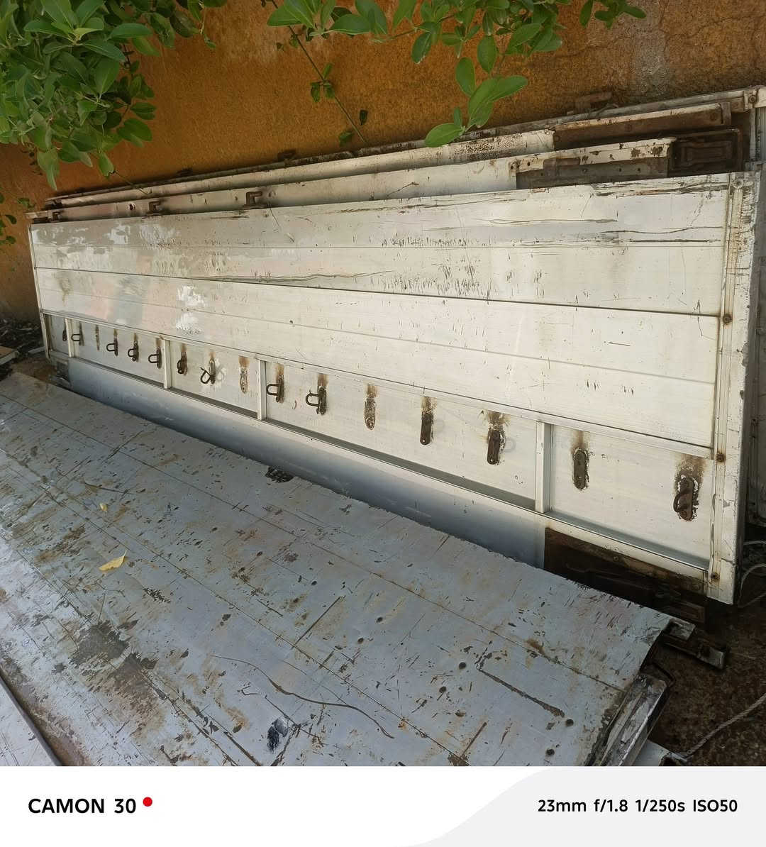السلام عليكم ورحمة الله أجناب أوربي ارتفاع ٨٠ سانتيم للبيع تخم كامل  ‏‪***********‬‏ ديالى ناحية كنعان
