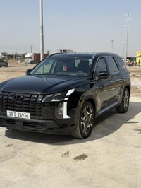 باليسايد • ٢٠٢٣ • حادث صبغ