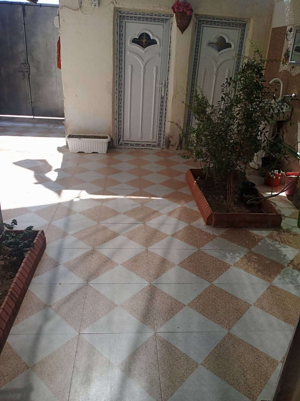 بيت زراعي ميتين متر. قطعه وبيت مقابيل الحي الصناعي الجه الثانيه نزلت الجامع 45


**إذا كنت صاحب هذا الإعلان وتريد حذفه لأي سبب، رجاءا أرسل رسالة إلى الدعم الفني**