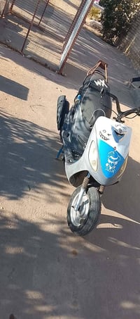 ماكس بوشه 55 • دوانيه قضاء عفك