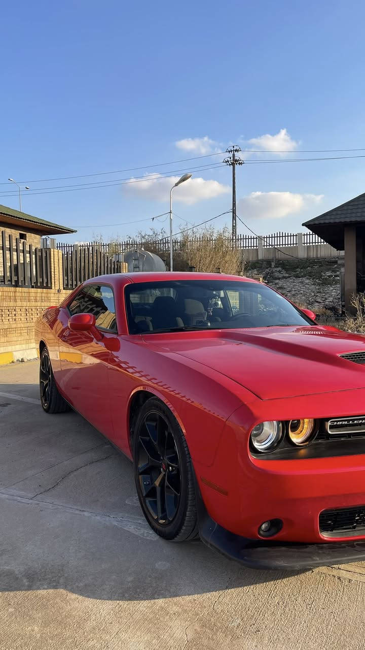 جالنجر جيتي GT 2022🔥
لون مميز 
ماشية 48الف ميل 
رقم اربيل بسمي هزة وسنوية جديد 
_______________
المواصفات :
كاميرا و حساسات خلفية 
كشن كهرباء 
شفتات تحكمات ستيرن 
شاشة وسط كاربلي 
بصمة ابواب 
تشغيل عن بعد

حادث السيارة بس بنيد مصبوغ وشبر تعديل بارد بجاملغ سايق 
صدر السيارة و خلفي جديد 
تخم تاير جديد اصلي 
كير محرك كهربايات كلها بشرط

مكاني كركوك 
للسعر  ***********
