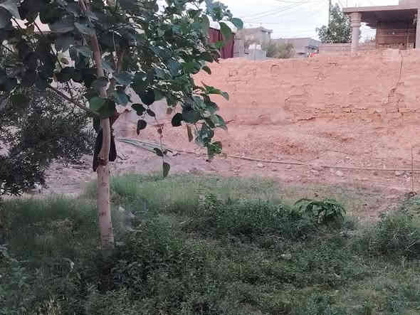 بيت مع قطعه للبيع في حي الوحده فرع الجملون مو بعيد وسط الحي للاستفسار اتصل على رقم التالي ***********
