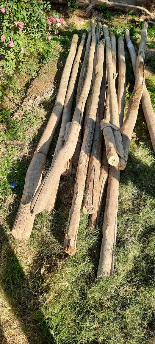 سلام عليكم اعمده خشب للبيع العدد 23 كبير وصغير مثل ماموضح بصور التواصل رقمي ***********
