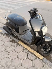 بوليسي رمبه • مكفوله • كوت