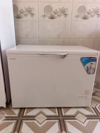 مجمدة • ١٤قدم • انكيدو فرنسي