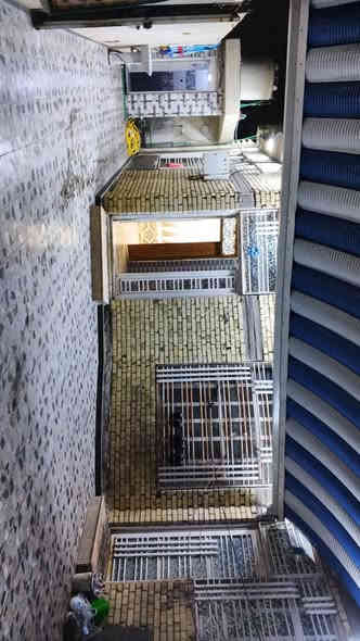 سلام عليكم 
توفر لدينا بيت للبيع 💒
في البصره حي بغداد قرب مجلس محافظه البصره 🏦
بيت مساحته( 320م) 
بيت كله طابوك 
بيت ركن على شارعين 
شارع الاول 10 متر 
شارع الثاني 15 متر 
بيت رقم ـــ بلديه
اليت بي معامله 
يحتوي على 
+4 غرف منام 4×5
+ صاله موزع كبير 
+ صاله استقبال 4×6
+ديوان 5×10
+صحيات داخيله و خارجيه ✅
+ مناور 2
+كراج سياره كبير 
بناء البيت 2021
السعر علخاص 
اللاستفسار 💵
***********
