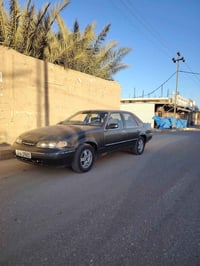 برنس فراشة • گير عادي • واسط الزبيدية