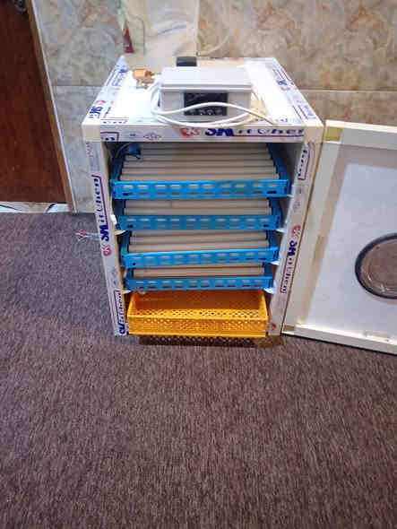 السلام عليكم 
تجهيز فقاسه فول اوتماتيك سعة 280بيضه البصرة قضاء المدينة لتواصل عبر الرقم *********** تصنيع وصيانة كافت احجام الفقاسات
