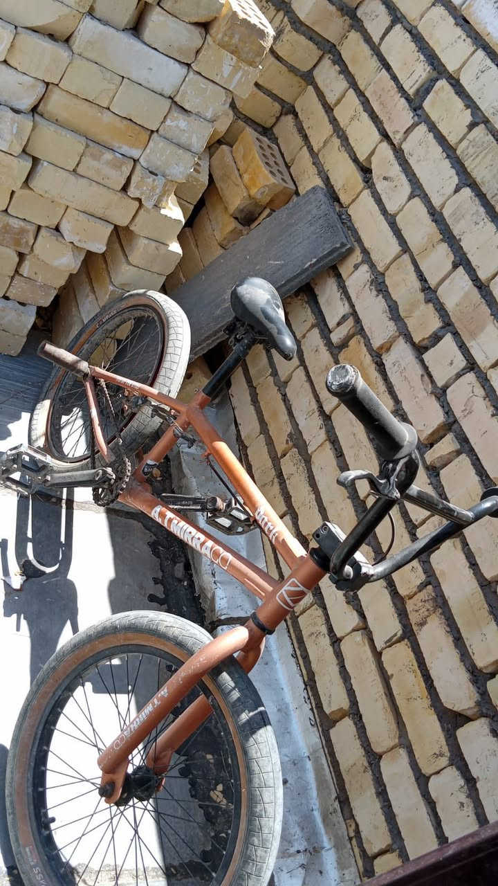 بأيسكل BMX مال حركات ولعب حته التاير نفس لون البايسكل أخذته ب 200 وهسه عارضه ب 150 وبي مجال قليل كربلاء البوبيات


**إذا كنت صاحب هذا الإعلان وتريد حذفه لأي سبب، رجاءا أرسل رسالة إلى الدعم الفني**