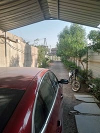 فرصة استثمارية مزرعة مساحتها الكلية 1800 المساحة المسجلة بالسند 1500 س...