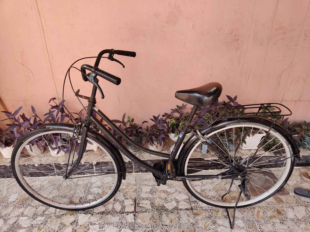🚲 للبيع باسكل حجم 26 بحالة ممتازة
✔️ البريك الأمامي والخلفي شغال 100٪
✔️ سياقة مريحة وخفيف بالحركة
✔️ جاهز للاستعمال مباشرة بدون أي تصليحات

📍 المنطقة: حي العروبة
💰 السعر: 85

للاستفسار مراسلة خاص 📩


**إذا كنت صاحب هذا الإعلان وتريد حذفه لأي سبب، رجاءا أرسل رسالة إلى الدعم الفني**