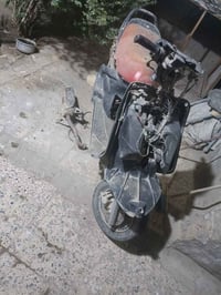 شاصي فراشه • عوزه محرك • دبلات جدد